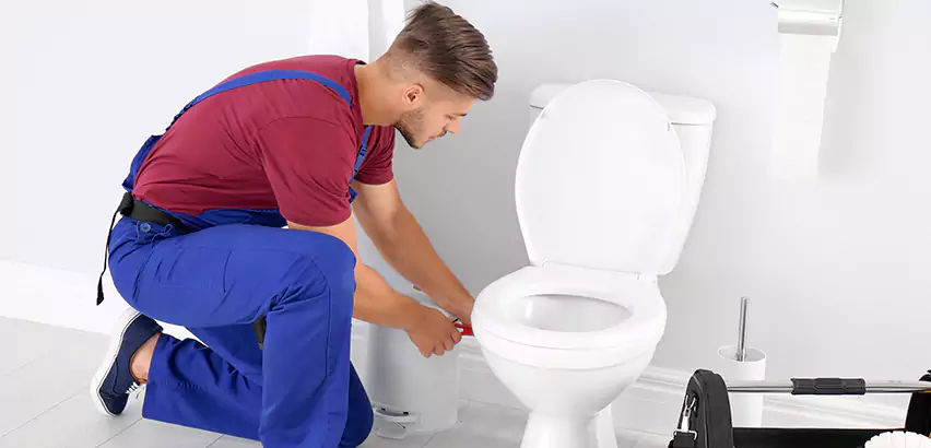 Scope of Bathroom Toilet Bowl Replacement Services in Munhall, PA