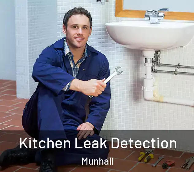  Kitchen Leak Detection Munhall