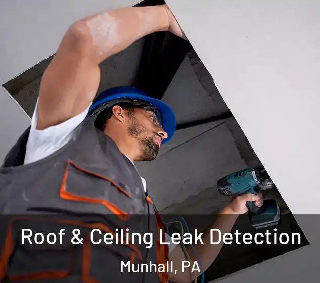  Roof & Ceiling Leak Detection Munhall, PA