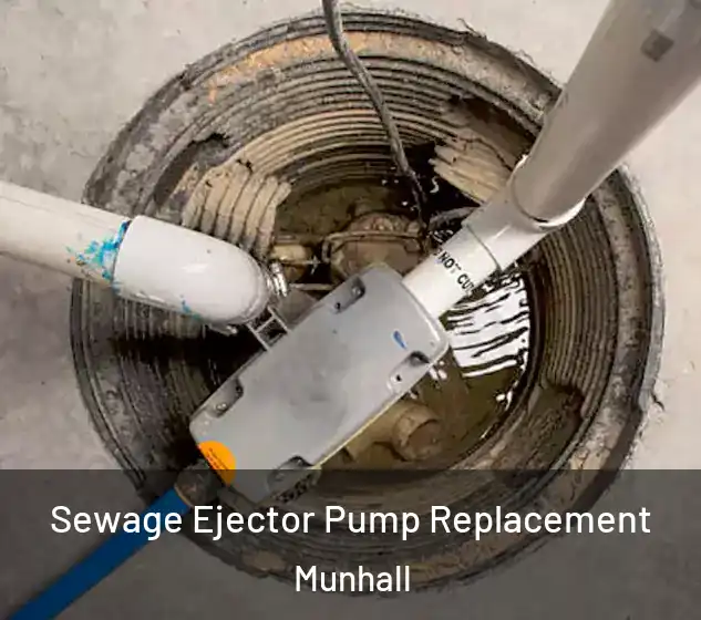  Sewage Ejector Pump Replacement Munhall