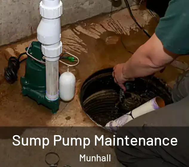  Sump Pump Maintenance Munhall