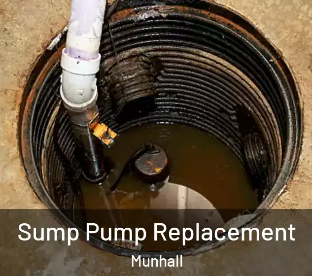  Sump Pump Replacement Munhall