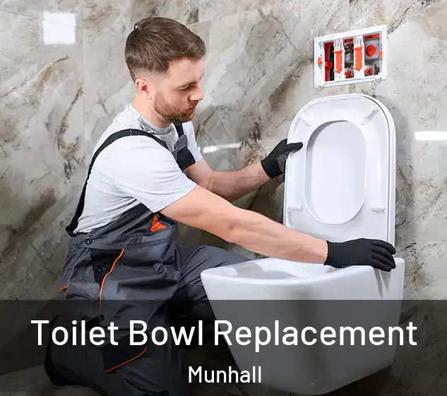  Toilet Bowl Replacement Munhall