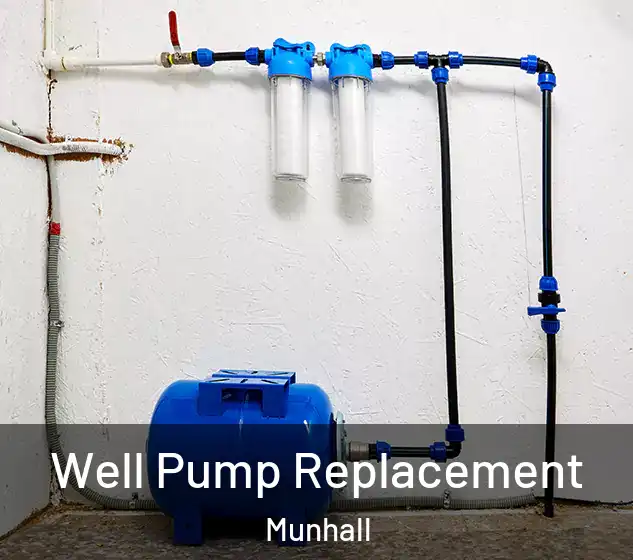  Well Pump Replacement Munhall